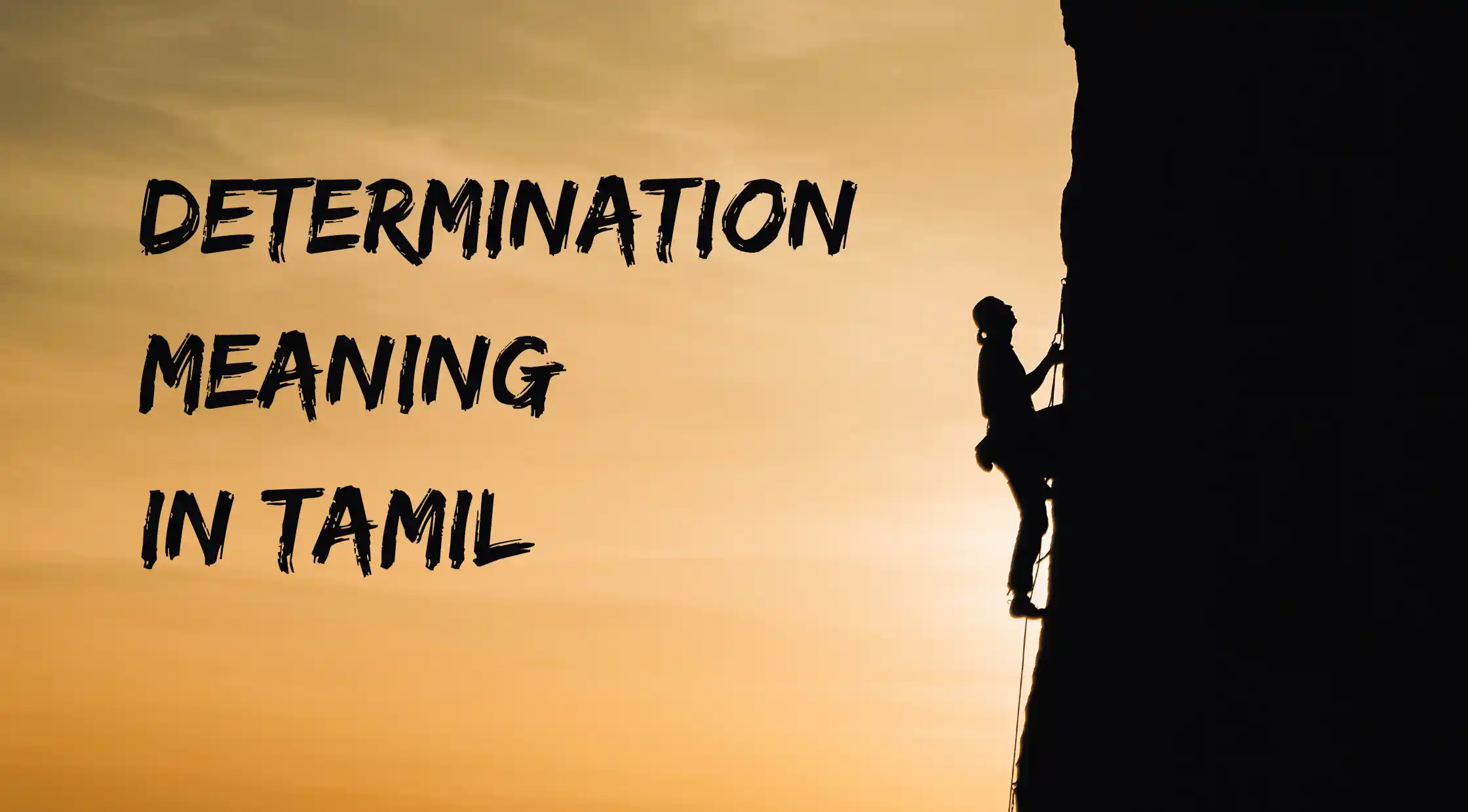 Determination Meaning